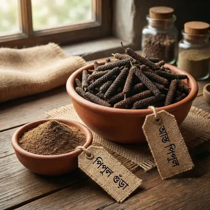 পিপুল (Pipul / Long Pepper)