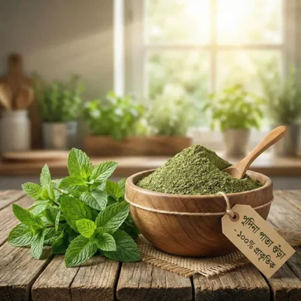 পুদিনা পাতা গুঁড়া (Mint Powder)