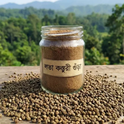 Lota Kosturi - লতা কস্তুরী