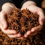 Star Anise