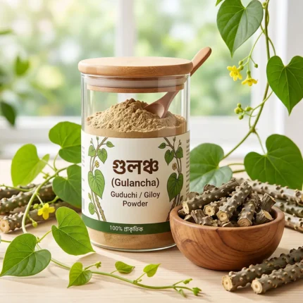 Gulancha