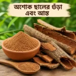 Ashok chal