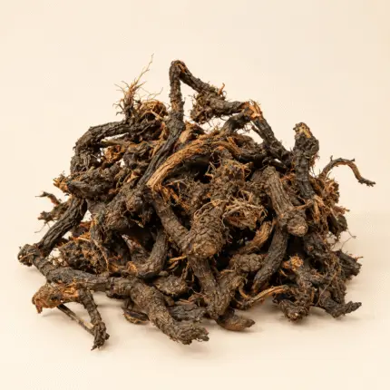 Nagarmotha