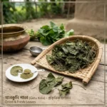 Thankuni | থান কুনি – প্রাকৃতিক ভেষজ পাতা