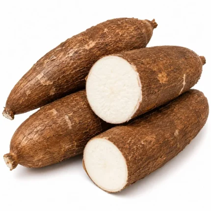Cassava Root (কাসাভা মূল)
