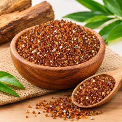 Sandalwood Seeds | চন্দন বীজ